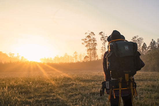 wander travel